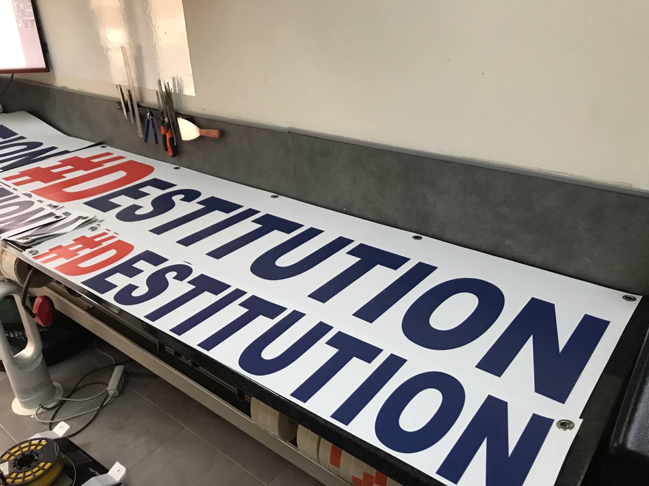Action Destitution