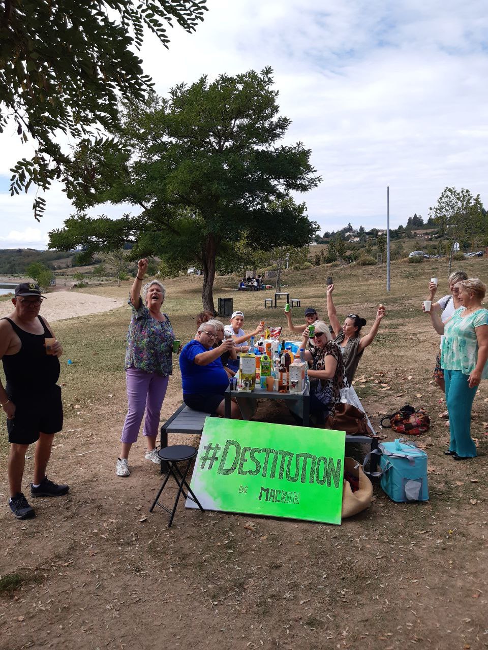 Action Destitution
